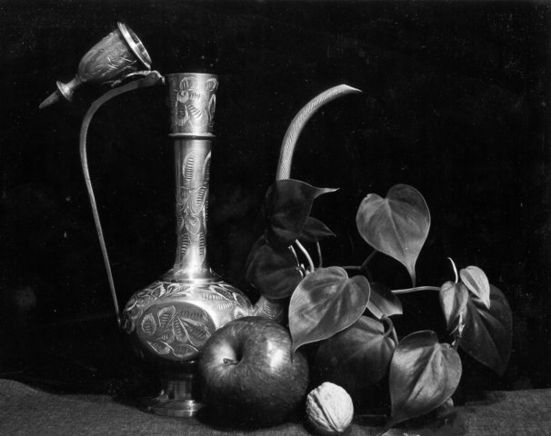 Photograph
