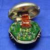 gg1320affirst_look_inside1_small.jpg